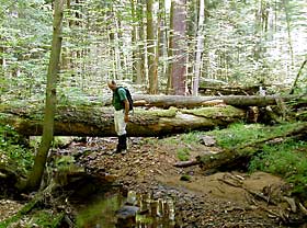 east fork run